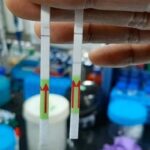 Первый в мире бумажный тест на коронавирус разработали в Индии